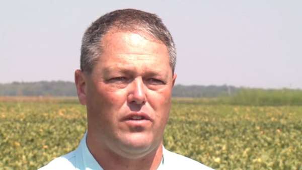 A student’s guide to careers in agronomy