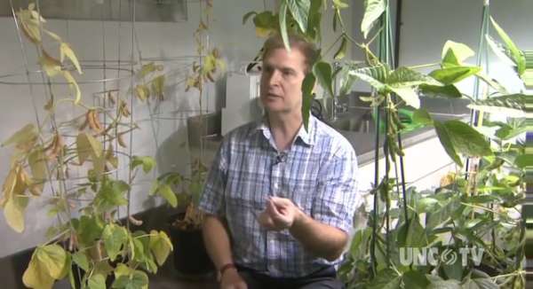 Just a spoonful of soybeans