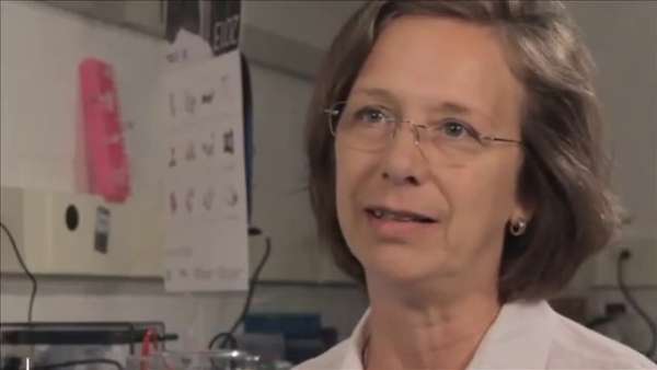 Molecular biology and research