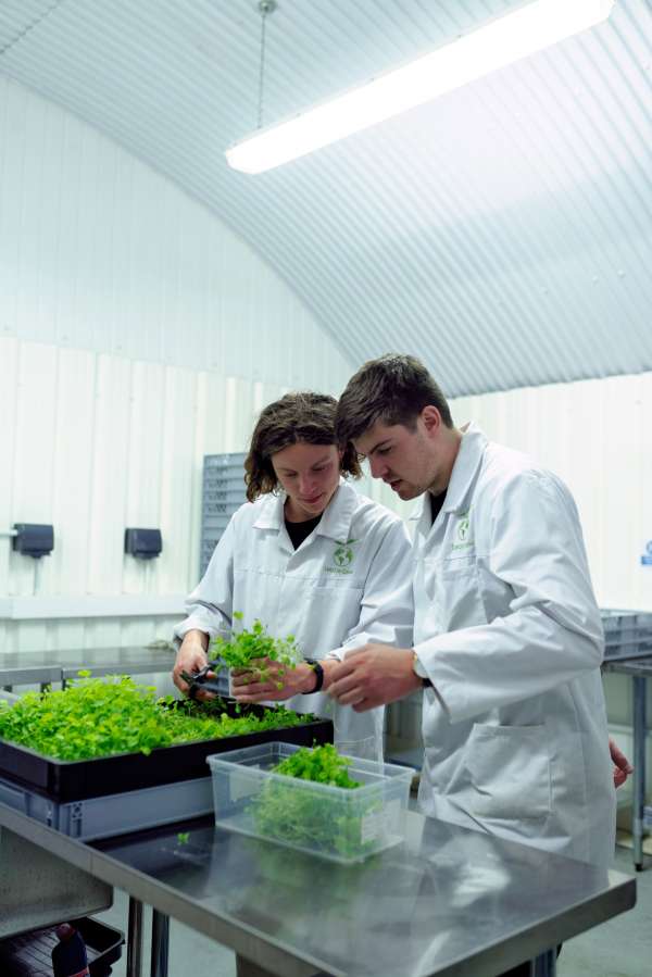 STEM in agriculture