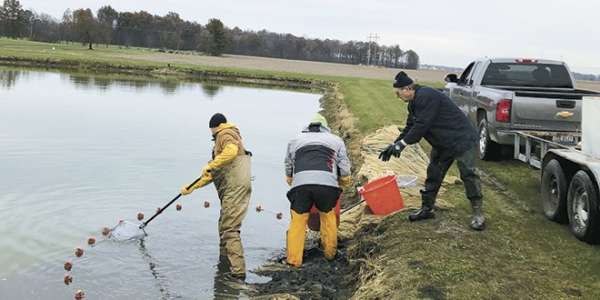 A look at Ohio's aquaculture industry