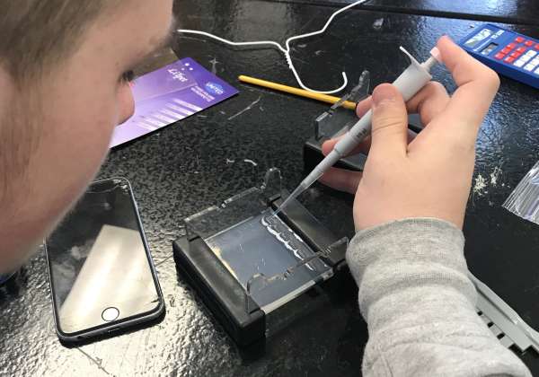 Getting students ready for science testing—state and AP