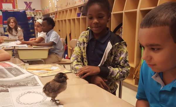 An engaging experience at Almira Academy