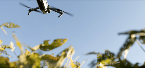 Artificial intelligence in the future of American farming