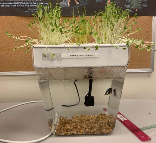 Classroom grant + student input = great new supplies!