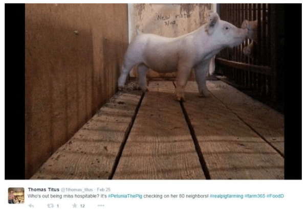 Connecting Consumers to Agriculture podcast