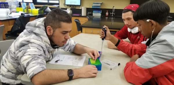 Electrophoresis used in crime scene scenario