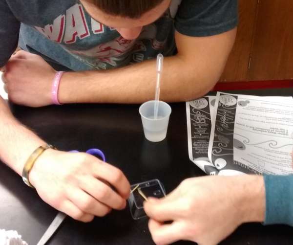 Emulsion activities bring learning together