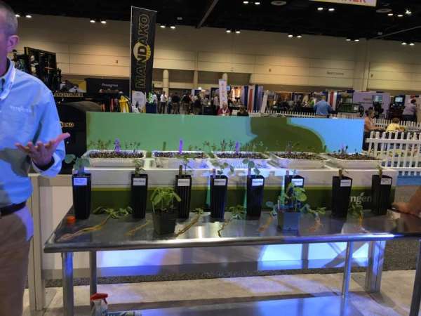 Encountering a whole new world