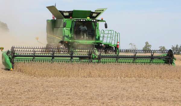 Fall harvest virtual field trips