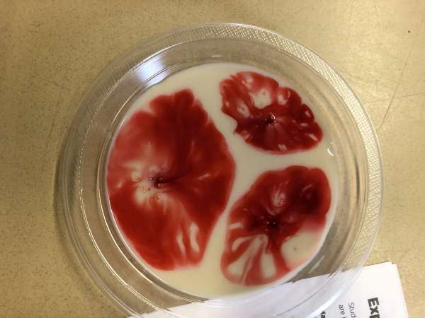 GrowNextGen shares at food production workshop