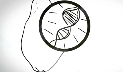 How are GMOs created?