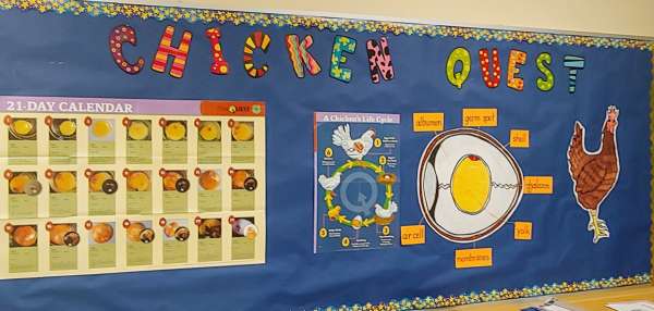 Leawood's life cycles