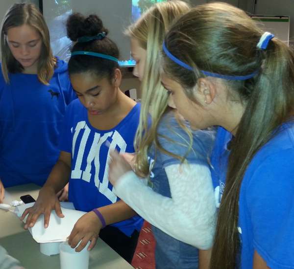 Mission: Be an Agricultural Engineer and Catch the Egg!