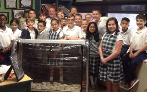 No sprouts, but lots of learning!