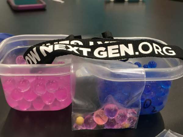 Outreach event at the PAST Foundation