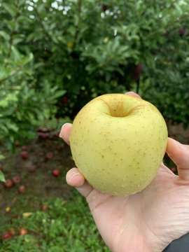 Rural education program includes GNG teacher leader