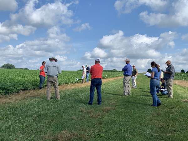 Summer externship: BASF