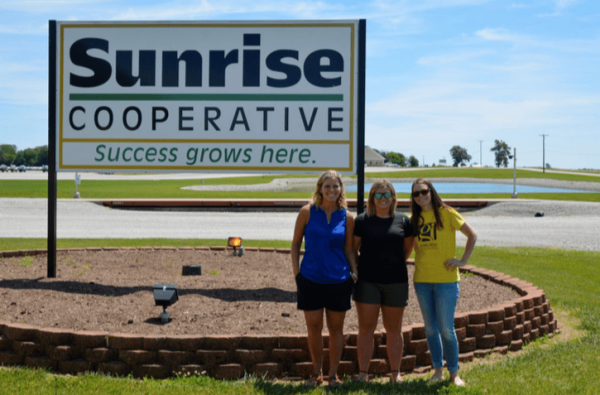 Teachers' externship enriches team teaching