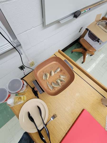 The end of the aquaculture project....