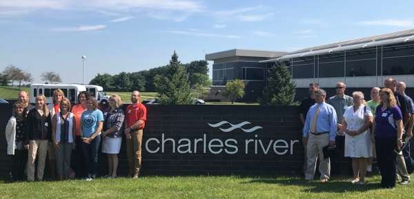 There's lots of jobs to know about!