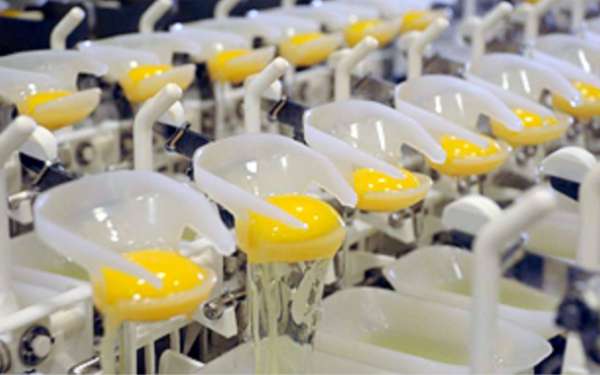 We're cracking up! Liquid eggs webinar