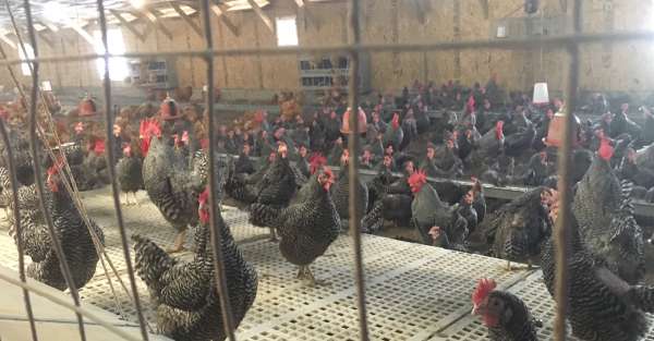 Workshop shows & tells teachers about job possibilities for students