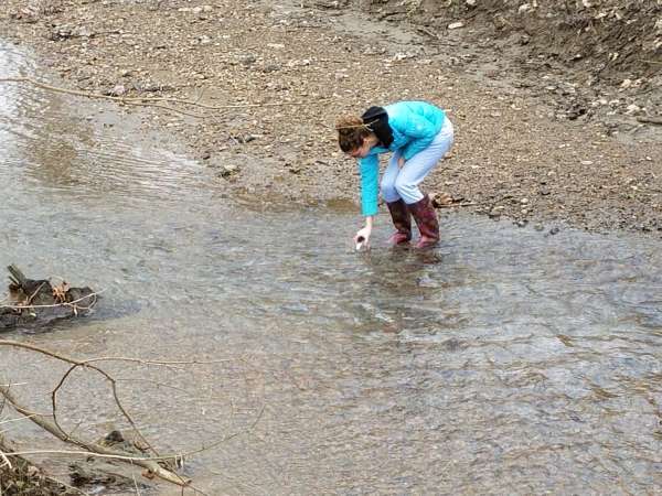 Testing Local Waterways for Microplastic Pollution and its Effect on Crops