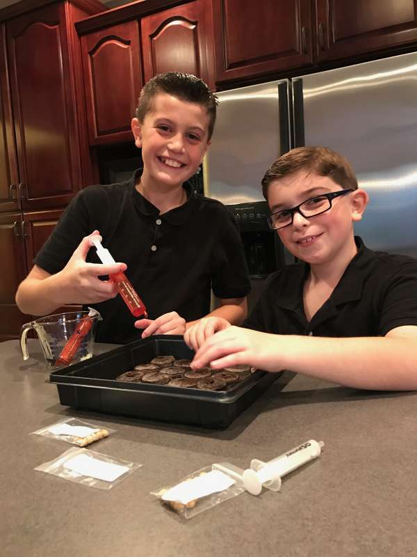 The rate of soybean growth with different food sources