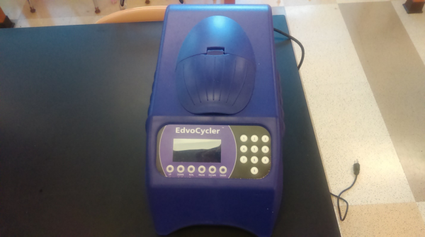 Which brands of organic tofu are genetically modified?